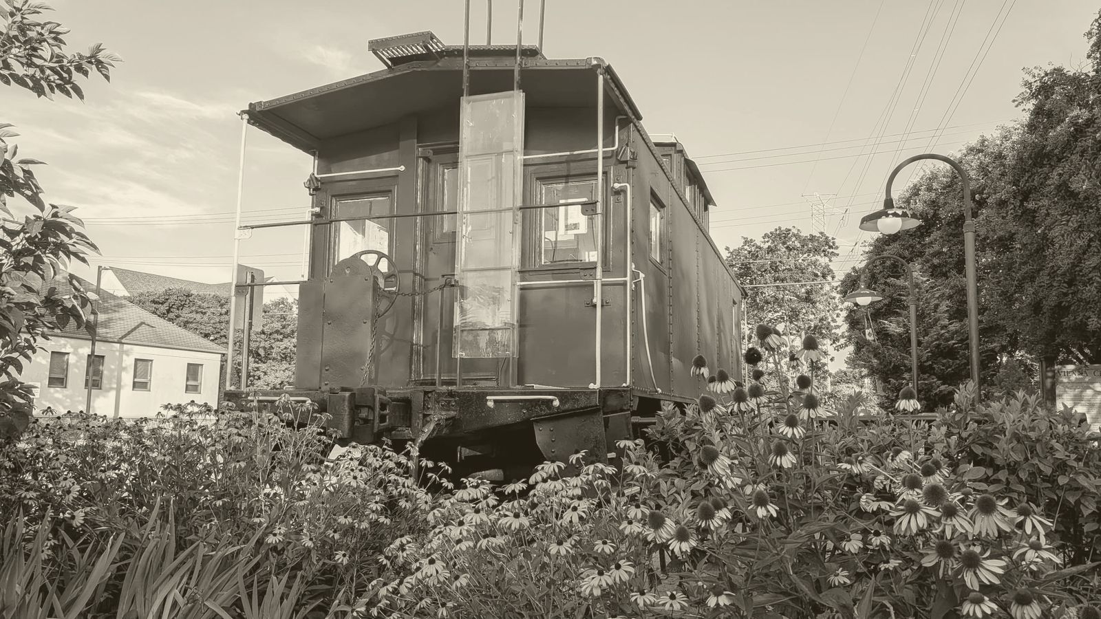 A bright red caboose behind a bed of black-eyed Susans and coneflowers
