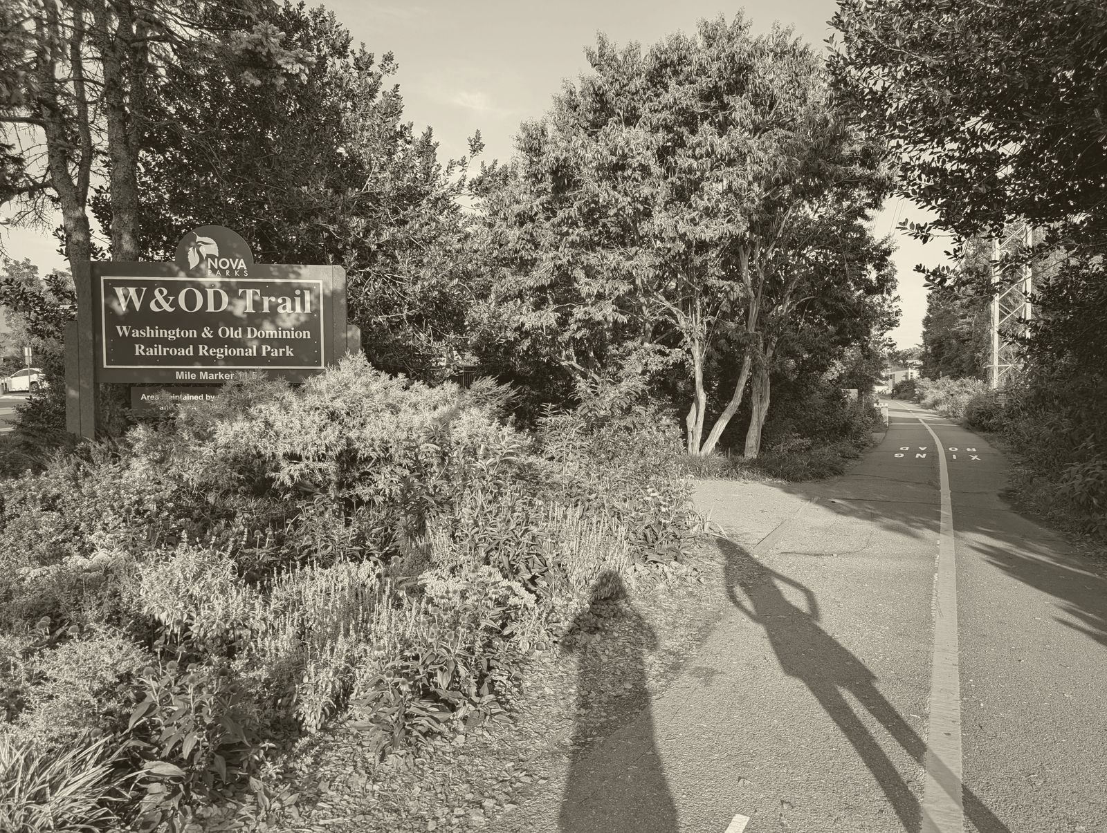 The paved W&OD Trail beside its regional park sign, flanked by summer flowers